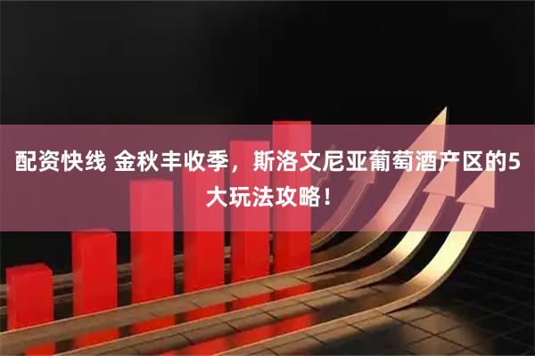 配资快线 金秋丰收季，斯洛文尼亚葡萄酒产区的5大玩法攻略！