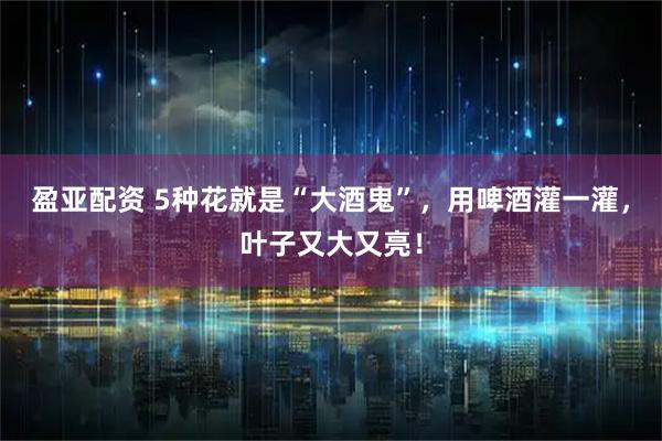盈亚配资 5种花就是“大酒鬼”，用啤酒灌一灌，叶子又大又亮！