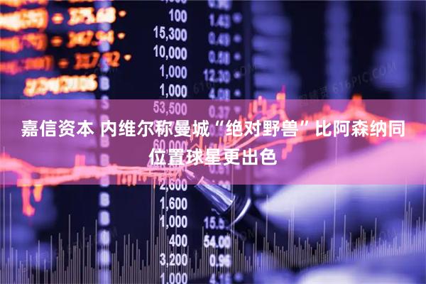 嘉信资本 内维尔称曼城“绝对野兽”比阿森纳同位置球星更出色