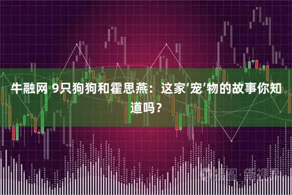 牛融网 9只狗狗和霍思燕：这家‘宠’物的故事你知道吗？