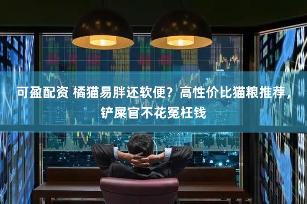 可盈配资 橘猫易胖还软便？高性价比猫粮推荐，铲屎官不花冤枉钱