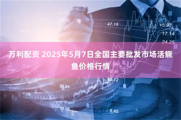 万利配资 2025年5月7日全国主要批发市场活鳜鱼价格行情