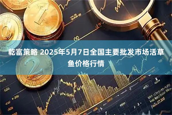 乾富策略 2025年5月7日全国主要批发市场活草鱼价格行情