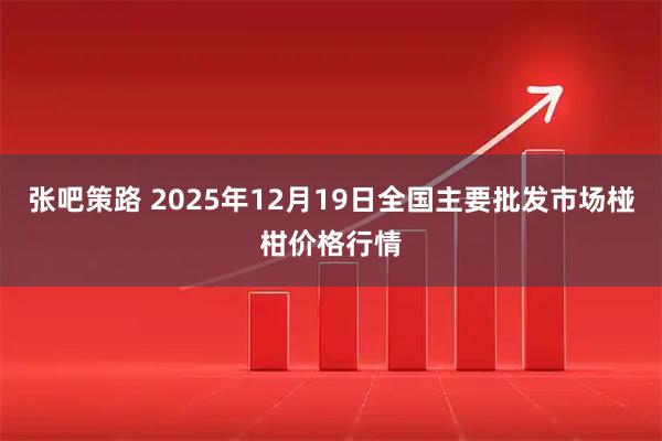 张吧策路 2025年12月19日全国主要批发市场椪柑价格行情