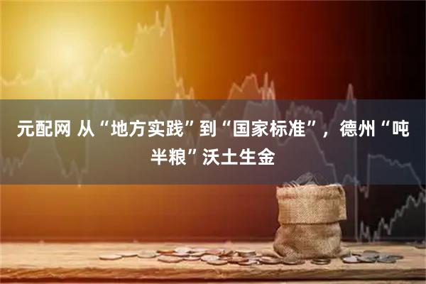 元配网 从“地方实践”到“国家标准”，德州“吨半粮”沃土生金